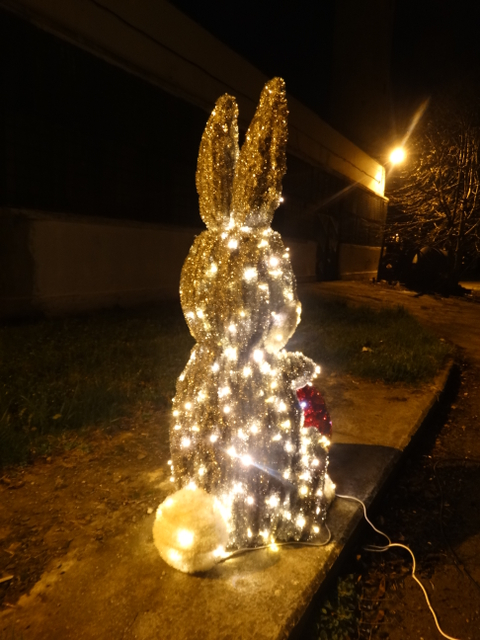 Iepuraş de Paşte - vedere din spate noapte